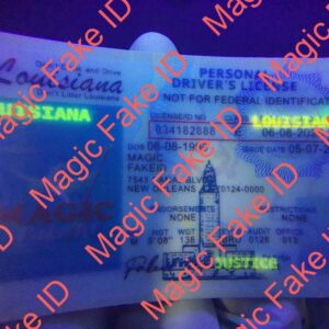 Louisiana Driver License