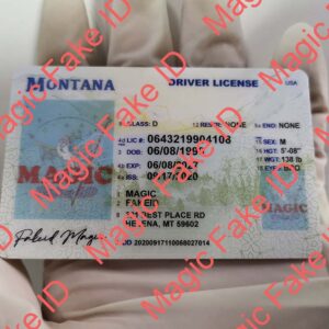 Montana Driver License