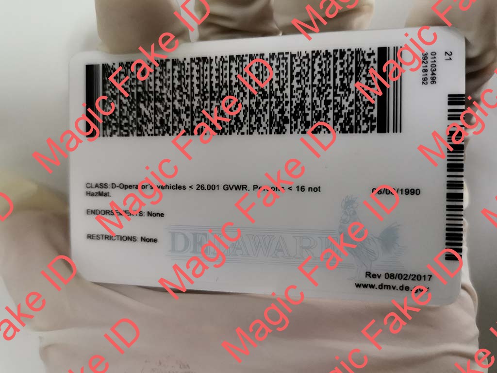 New Delaware Driver License - Image 3