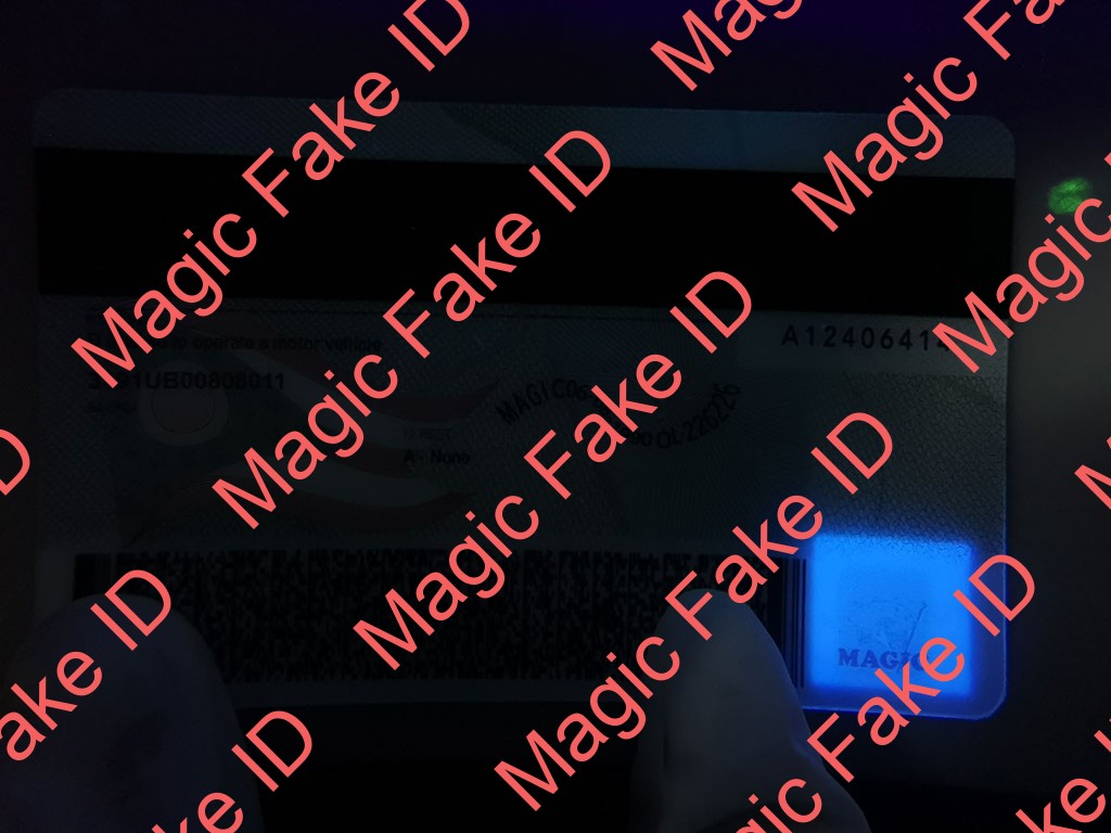 New Ohio Driver License - Image 2