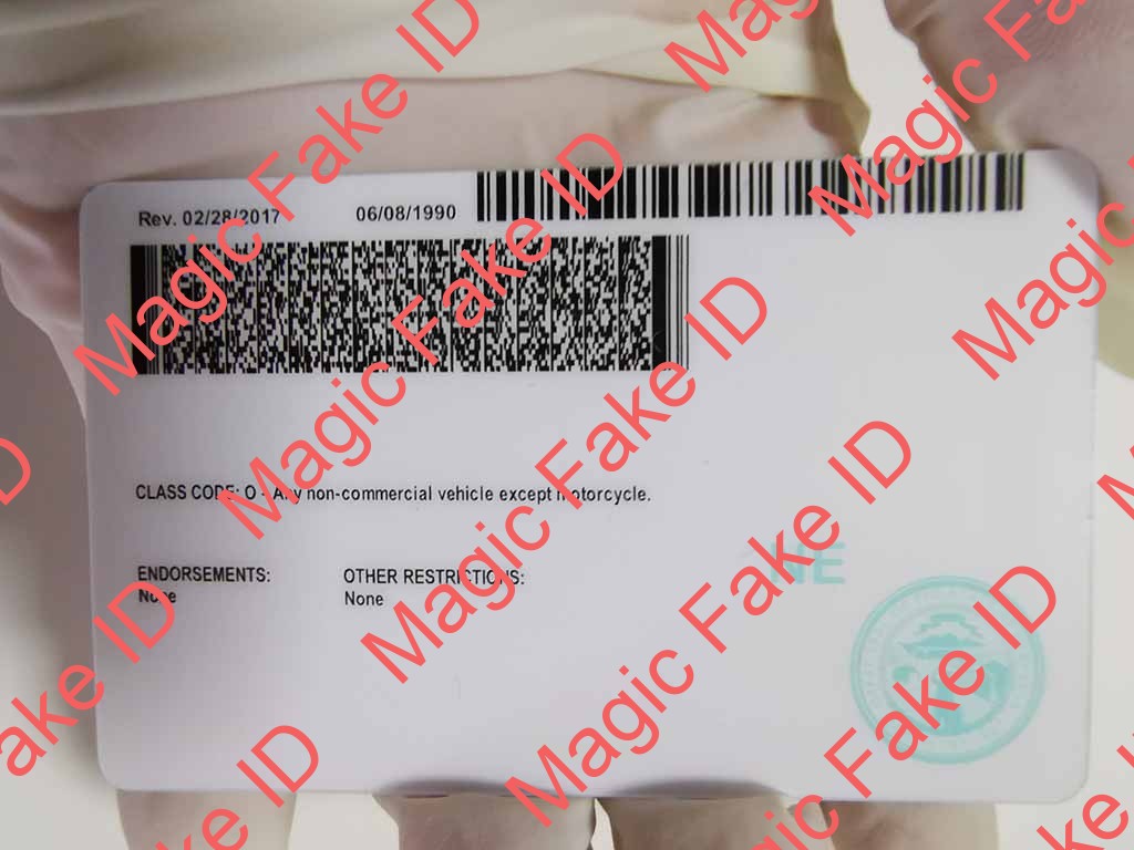 Nebraska Driver License - Image 4