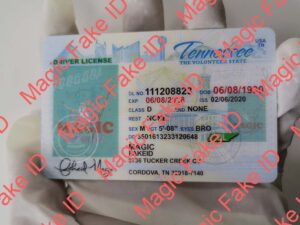 Tennessee Driver License - Tennessee fake id