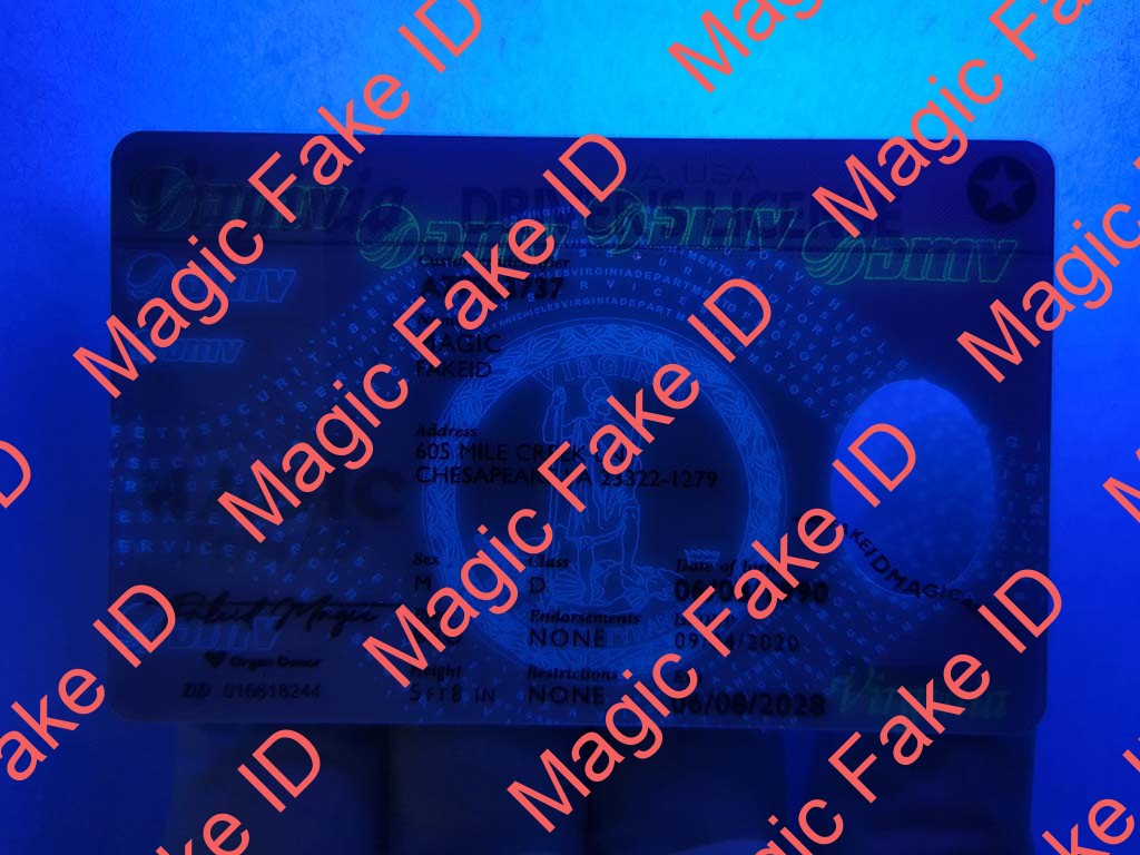 Virginia Driver License - Image 3