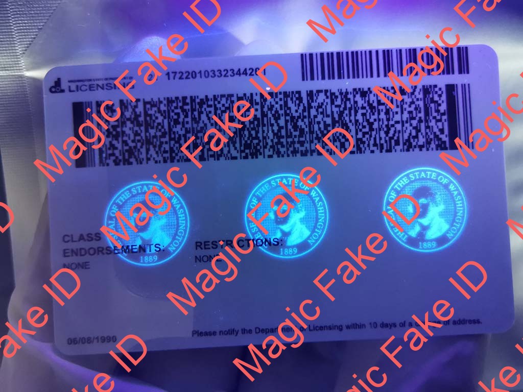 New Washington Driver License - Image 2