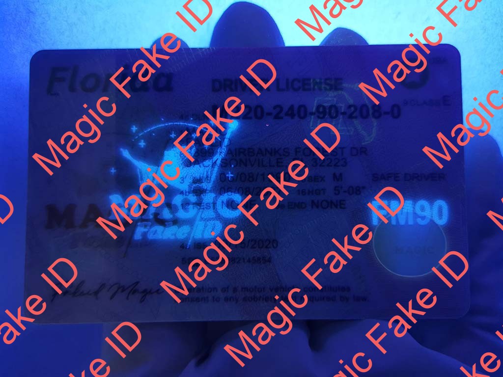 New Florida Driver License - Image 2