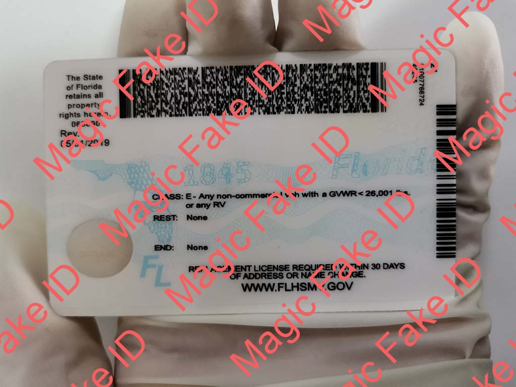New Florida Driver License - Image 3