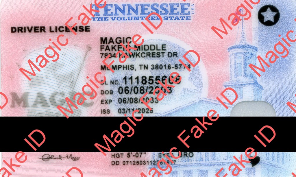 Tennessee Driver License O21 2025 Polycarbonate - Magic Fake IDs
