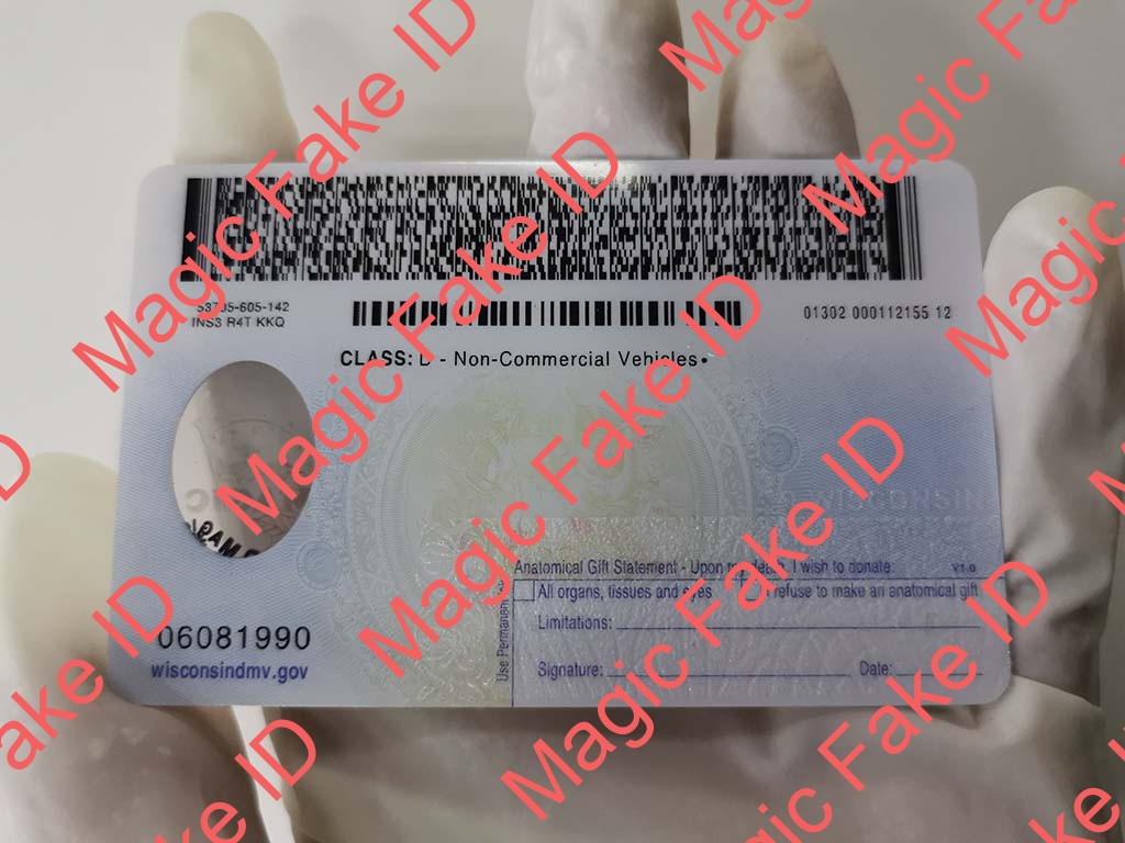 Wisconsin Driver License - Image 3