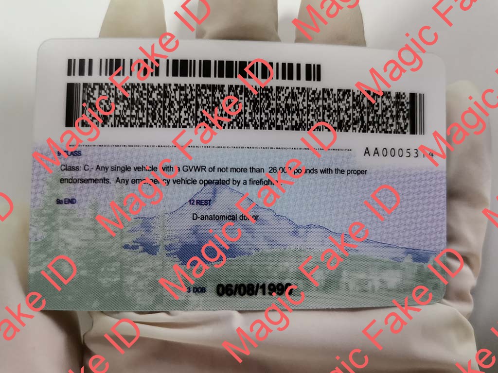 New Oregon Driver License - Image 4