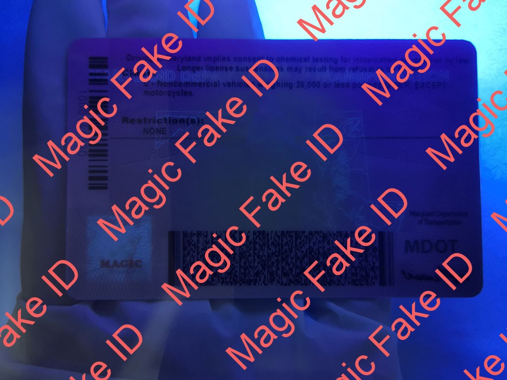 New Maryland Driver License - Image 2